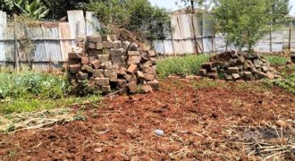 Vacant Land / Plot for Sale in Runda